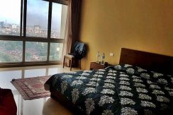 ciputra hanoi (6)
