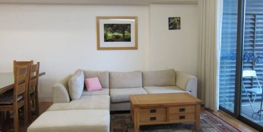 Apartment indochina plaza for rent
