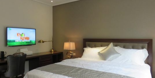 Serviced Apartment Hai Ba Trung area for rent