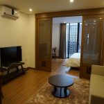 New Truong Han Sieu serviced apartment