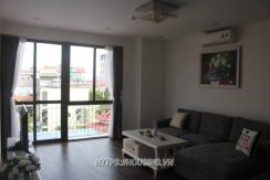 Căn hộ 1 ngủ tại Tô Ngọc Vân cho thuê
