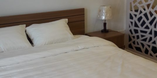 Cheap Apartment Linh Lang street near Lotte center
