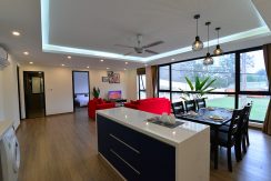 Serviced Apartment Dang Thai Mai street