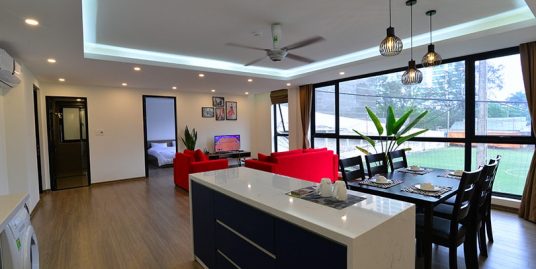 Serviced Apartment Dang Thai Mai street for rent