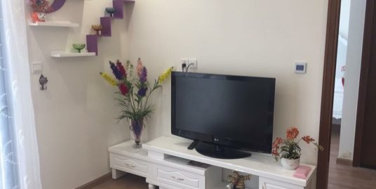 Budget 2 bedroom Times City Minh Khai apartment