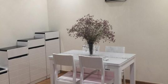 Vinhomes Nguyen Chi Thanh Apartment with big balcony