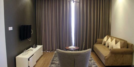 Vinhomes Park Hill Apartment for rent