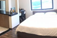 studio serviced apartment in ho ba mau