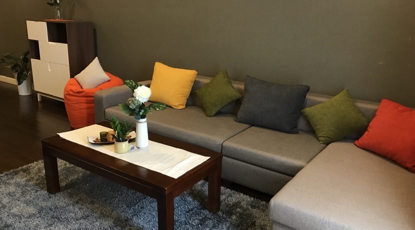 living room (8)