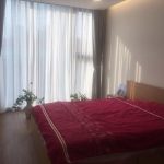 Apartment Vinhomes Metropolis