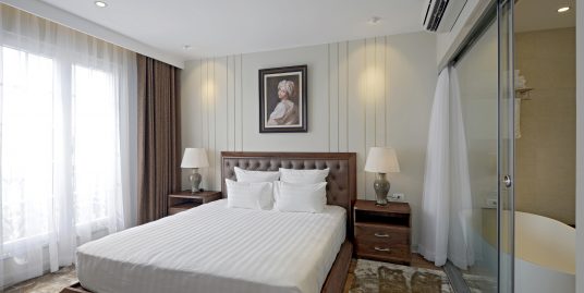 Gorgeous Apartment Hai Ba Trung district for rent