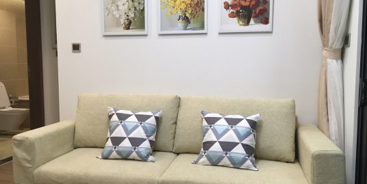 Cheap Apartment Vinhomes Metropolis
