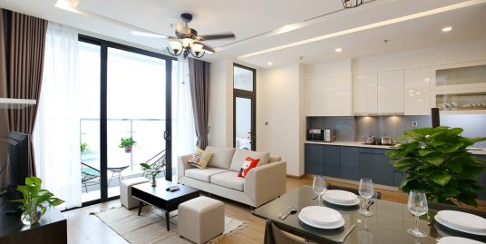 New Apartment Vinhomes Metropolis for rent