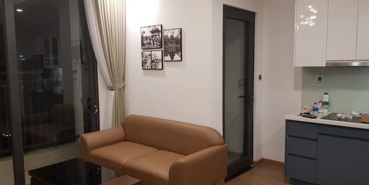 Two Bedroom Apartment in Vinhomes Green Bay