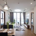 apartment in vinhomes skylake