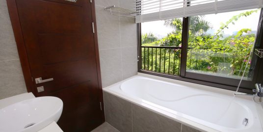 Nice View One Bedroom Apartment in Westlake