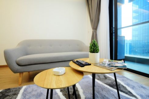 living room (12)