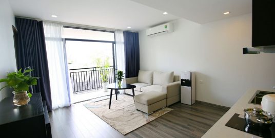 New Serviced Apartment Kim Ma street for rent