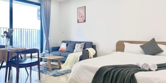 Studio Apartment in Vinhomes D’Capitale, Tran Duy Hung